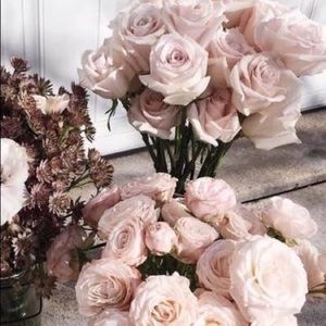 Meet your Posher, Ny